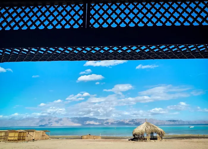 Geo Tribe * دهب